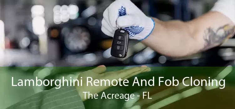 Lamborghini Remote And Fob Cloning The Acreage - FL