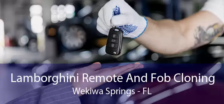 Lamborghini Remote And Fob Cloning Wekiwa Springs - FL
