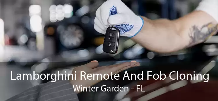 Lamborghini Remote And Fob Cloning Winter Garden - FL