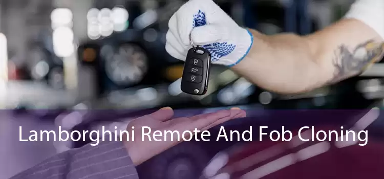 Lamborghini Remote And Fob Cloning 