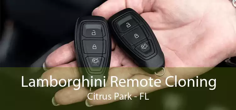 Lamborghini Remote Cloning Citrus Park - FL