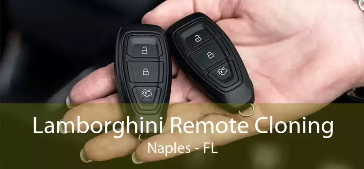 Lamborghini Remote Cloning Naples - FL