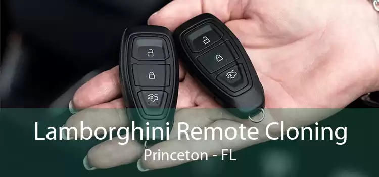 Lamborghini Remote Cloning Princeton - FL