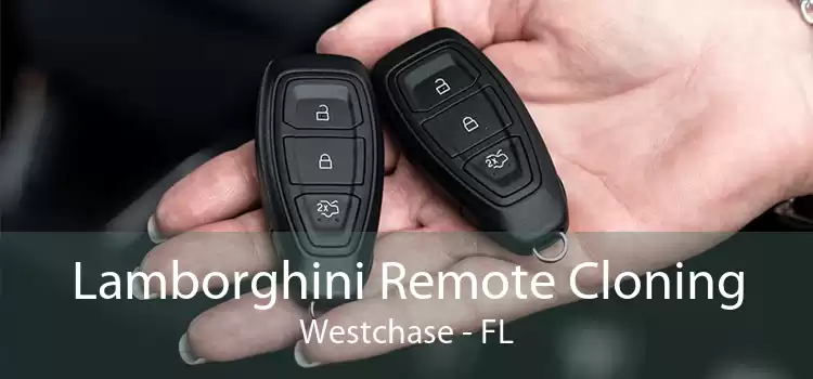 Lamborghini Remote Cloning Westchase - FL