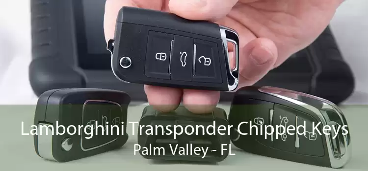 Lamborghini Transponder Chipped Keys Palm Valley - FL