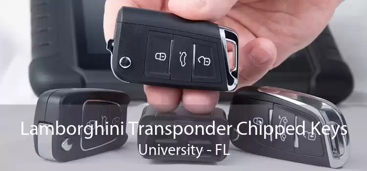 Lamborghini Transponder Chipped Keys University - FL