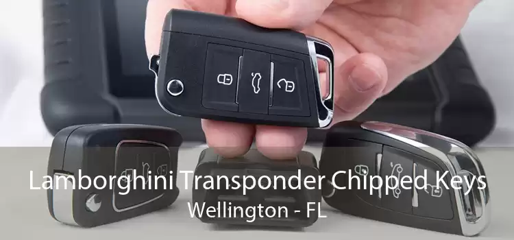 Lamborghini Transponder Chipped Keys Wellington - FL