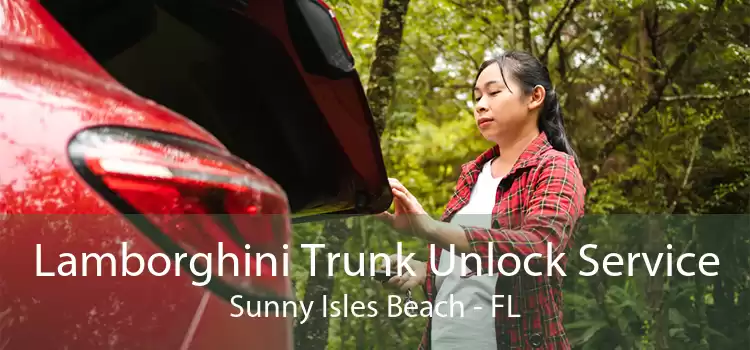 Lamborghini Trunk Unlock Service Sunny Isles Beach - FL