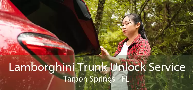 Lamborghini Trunk Unlock Service Tarpon Springs - FL