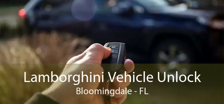 Lamborghini Vehicle Unlock Bloomingdale - FL