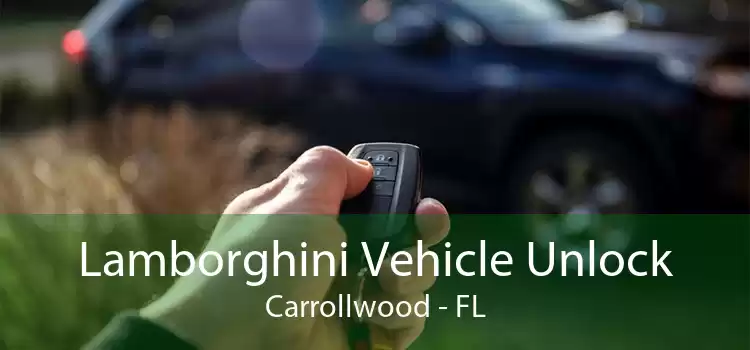 Lamborghini Vehicle Unlock Carrollwood - FL