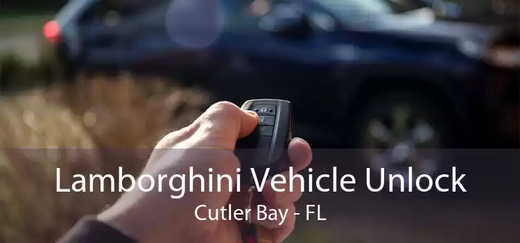 Lamborghini Vehicle Unlock Cutler Bay - FL