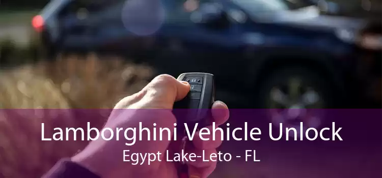 Lamborghini Vehicle Unlock Egypt Lake-Leto - FL