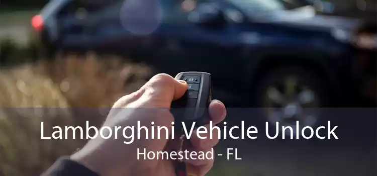 Lamborghini Vehicle Unlock Homestead - FL