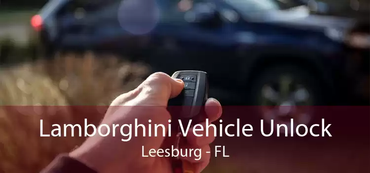 Lamborghini Vehicle Unlock Leesburg - FL
