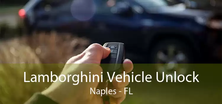 Lamborghini Vehicle Unlock Naples - FL