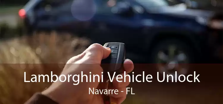 Lamborghini Vehicle Unlock Navarre - FL