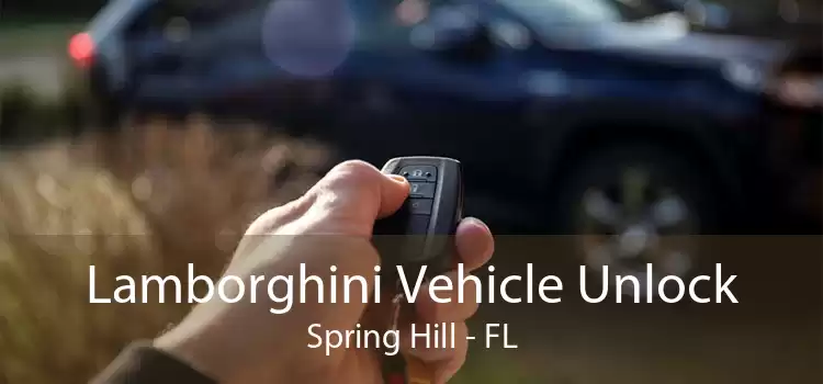 Lamborghini Vehicle Unlock Spring Hill - FL