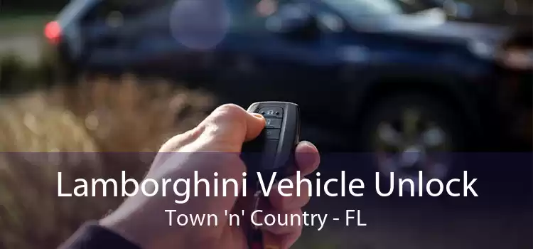 Lamborghini Vehicle Unlock Town 'n' Country - FL