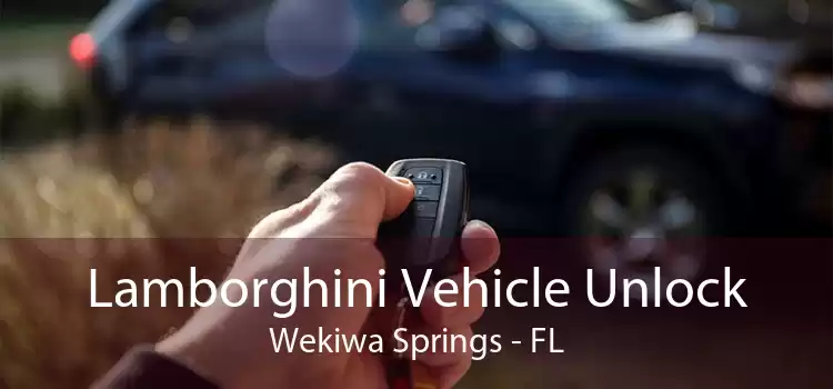 Lamborghini Vehicle Unlock Wekiwa Springs - FL