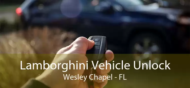 Lamborghini Vehicle Unlock Wesley Chapel - FL
