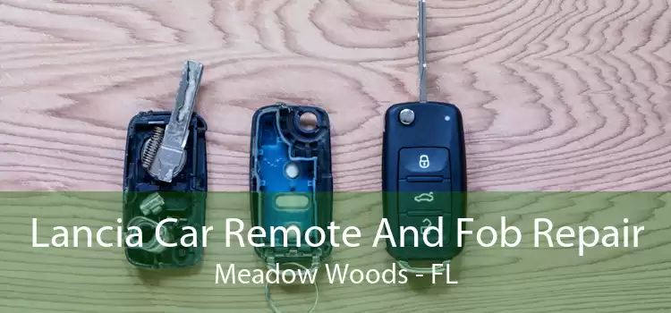 Lancia Car Remote And Fob Repair Meadow Woods - FL
