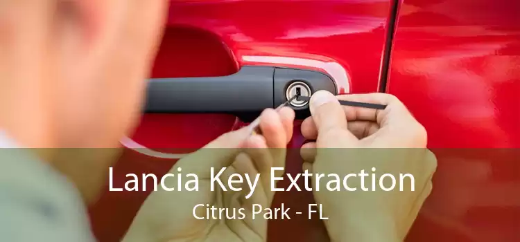 Lancia Key Extraction Citrus Park - FL