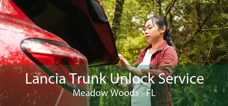 Lancia Trunk Unlock Service Meadow Woods - FL