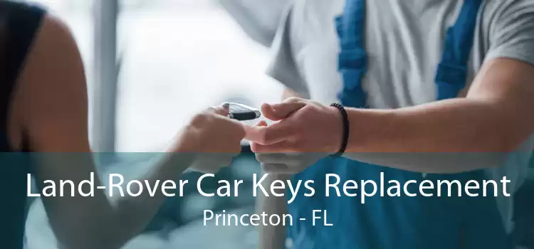 Land-Rover Car Keys Replacement Princeton - FL