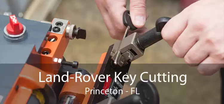 Land-Rover Key Cutting Princeton - FL