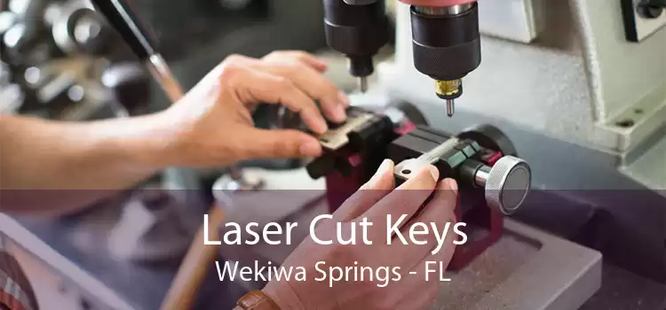 Laser Cut Keys Wekiwa Springs - FL