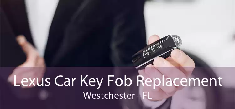 Lexus Car Key Fob Replacement Westchester - FL