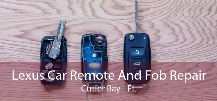 Lexus Car Remote And Fob Repair Cutler Bay - FL