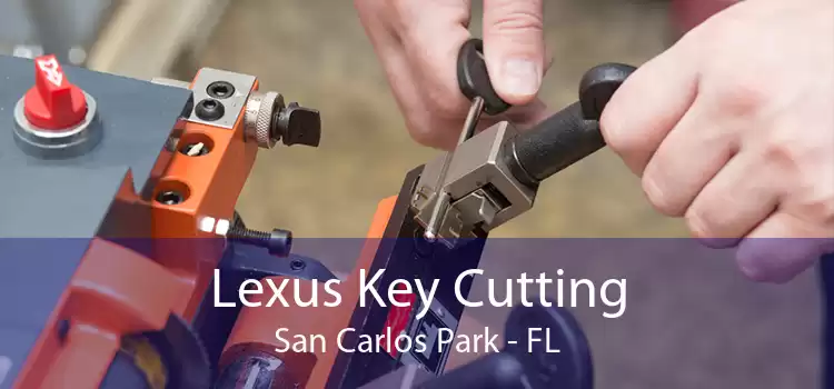 Lexus Key Cutting San Carlos Park - FL
