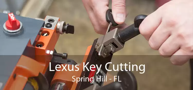 Lexus Key Cutting Spring Hill - FL