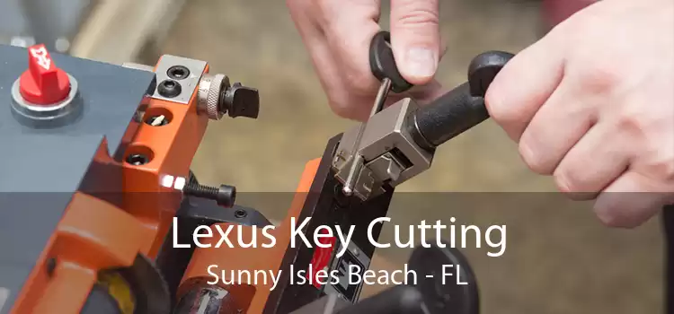 Lexus Key Cutting Sunny Isles Beach - FL