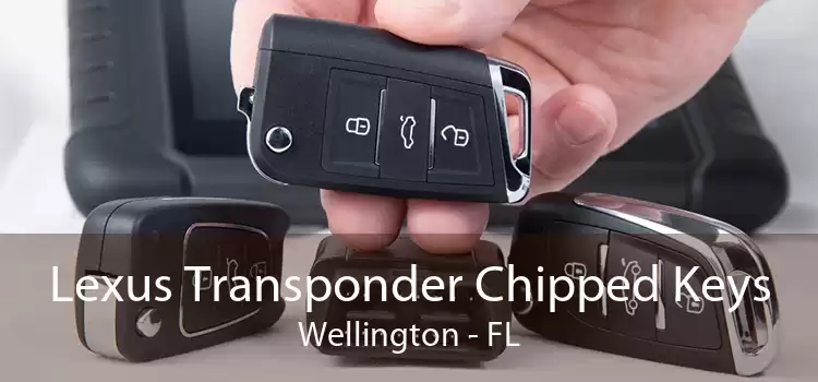 Lexus Transponder Chipped Keys Wellington - FL