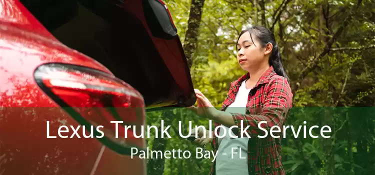 Lexus Trunk Unlock Service Palmetto Bay - FL