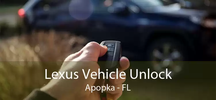 Lexus Vehicle Unlock Apopka - FL
