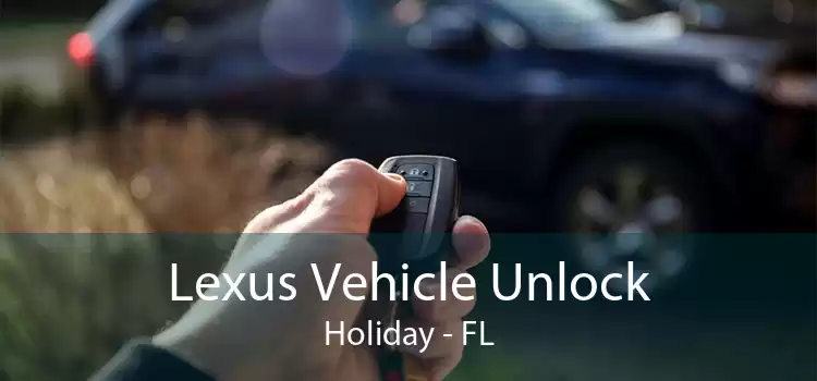 Lexus Vehicle Unlock Holiday - FL