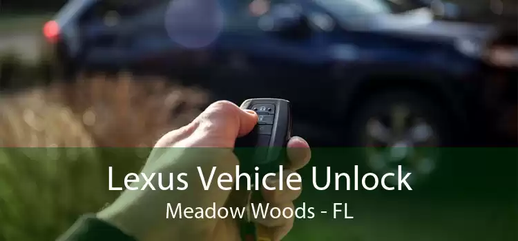 Lexus Vehicle Unlock Meadow Woods - FL