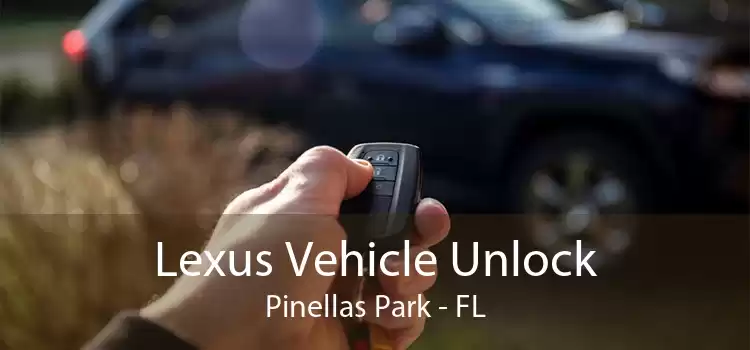 Lexus Vehicle Unlock Pinellas Park - FL