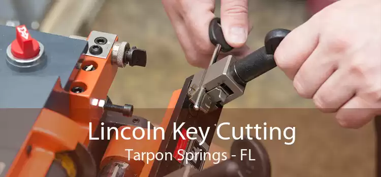 Lincoln Key Cutting Tarpon Springs - FL