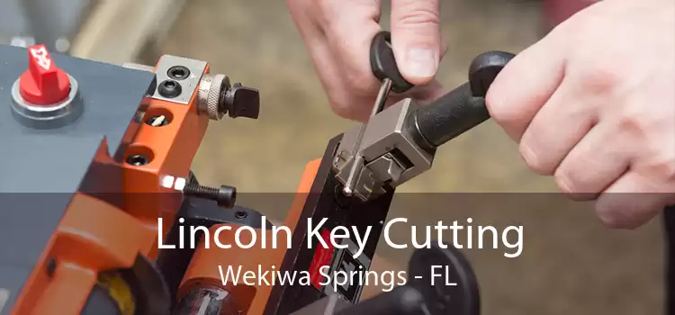 Lincoln Key Cutting Wekiwa Springs - FL
