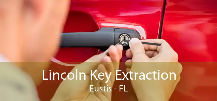 Lincoln Key Extraction Eustis - FL