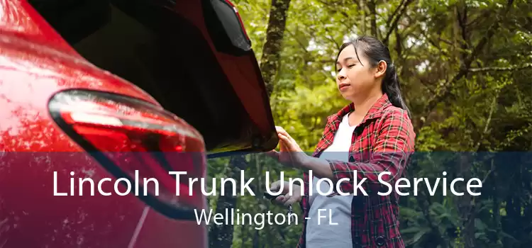 Lincoln Trunk Unlock Service Wellington - FL