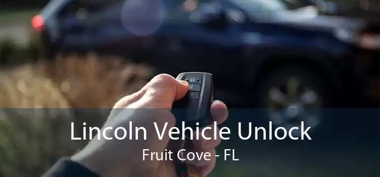 Lincoln Vehicle Unlock Fruit Cove - FL