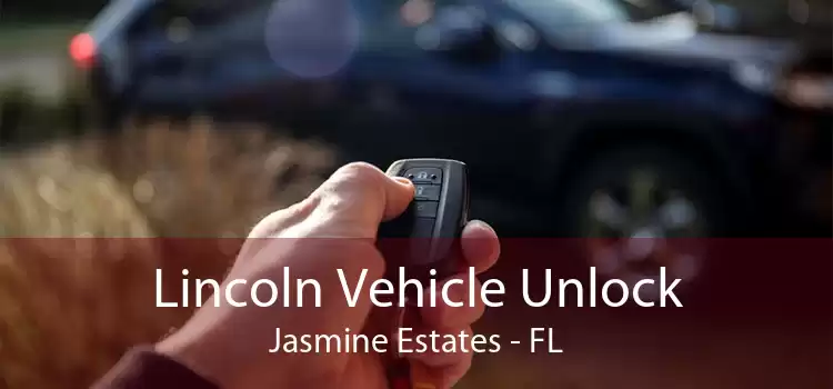 Lincoln Vehicle Unlock Jasmine Estates - FL