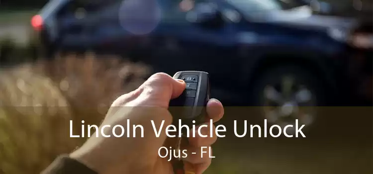 Lincoln Vehicle Unlock Ojus - FL