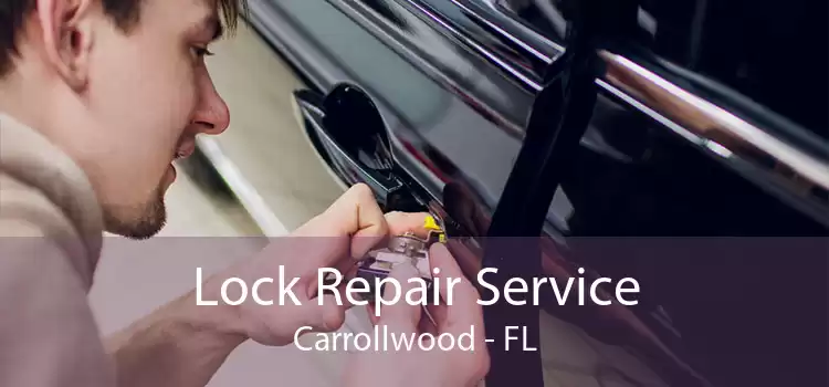Lock Repair Service Carrollwood - FL